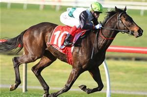 cantala stakes field|2021 Cantala Stakes: Final Field, Barriers and Market.